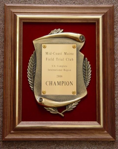 Award Plaque